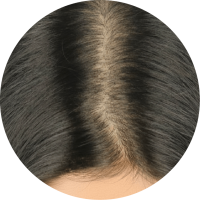 p5_工作區域 1 複本 3