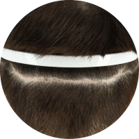 p5_工作區域 1 複本 5